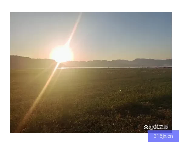 不卑的海角：风吹不散的壮阔，镌刻在灵魂深处的自由